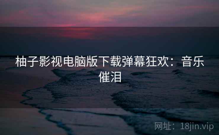 柚子影视电脑版下载弹幕狂欢：音乐催泪
