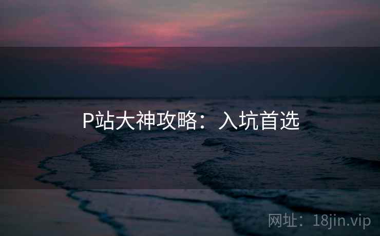 P站大神攻略：入坑首选