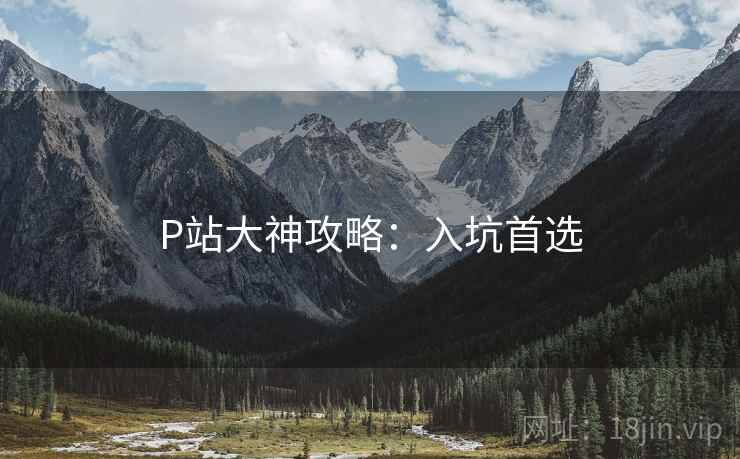 P站大神攻略：入坑首选