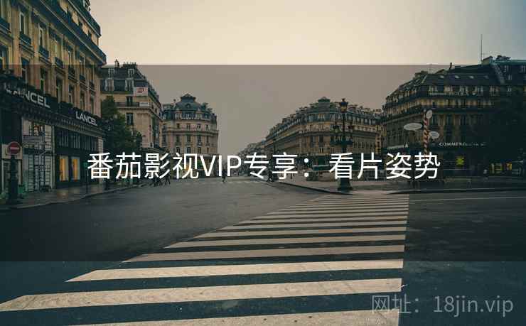 番茄影视VIP专享：看片姿势